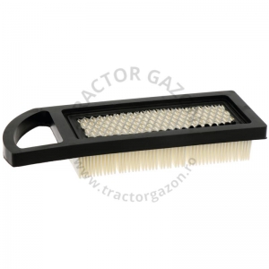 FILTRU AER BRIGGS&STRATTON 33270102 794422 797008 697634 697014 698083 795115 697153