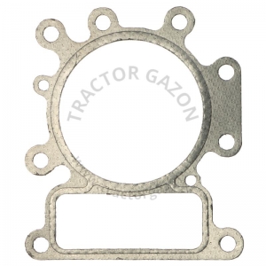 GARNITURA CHIULOASA BRIGGS&STRATTON 50-0211 699168 796584 GARNITURA CHIULOASA BRIGGS&STRATTON 50-0211 699168 796584