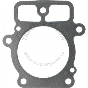 GARNITURA CHIULOASA BRIGGS&STRATTON 2 CILINDRI 06-01033 690962 693997 GARNITURA CHIULOASA BRIGGS&STRATTON 2 CILINDRI 06-01033 690962 693997