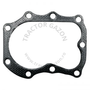 GARNITURA CHIULOASA BRIGGS%STRATTON 5-7CP 50-5410 272163 272163S 270430 GARNITURA CHIULOASA BRIGGS%STRATTON 5-7CP 50-5410 272163 272163S 270430