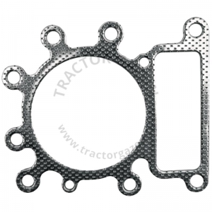 GARNITURA CHIULOASA BRIGGS&STRATTON 10-14CP 06-01011 272614 273280S 273280 GARNITURA CHIULOASA BRIGGS&STRATTON 10-14CP 06-01011 272614 273280S 273280