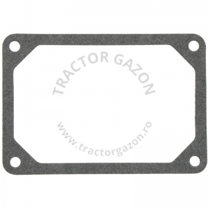 GARNITURA SUPAPE AERISIRE BRIGGS&STRATTON 06-01038 272475 272475S GARNITURA SUPAPE AERISIRE BRIGGS&STRATTON 06-01038 272475 272475S
